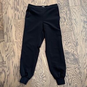 Express dressy joggers